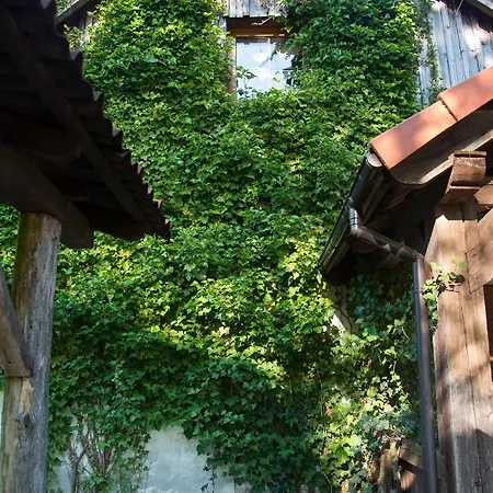 Lesna Zagroda Alojamento de Turismo Rural Parchowo